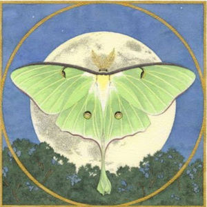 Meet your Posher, Caitlin